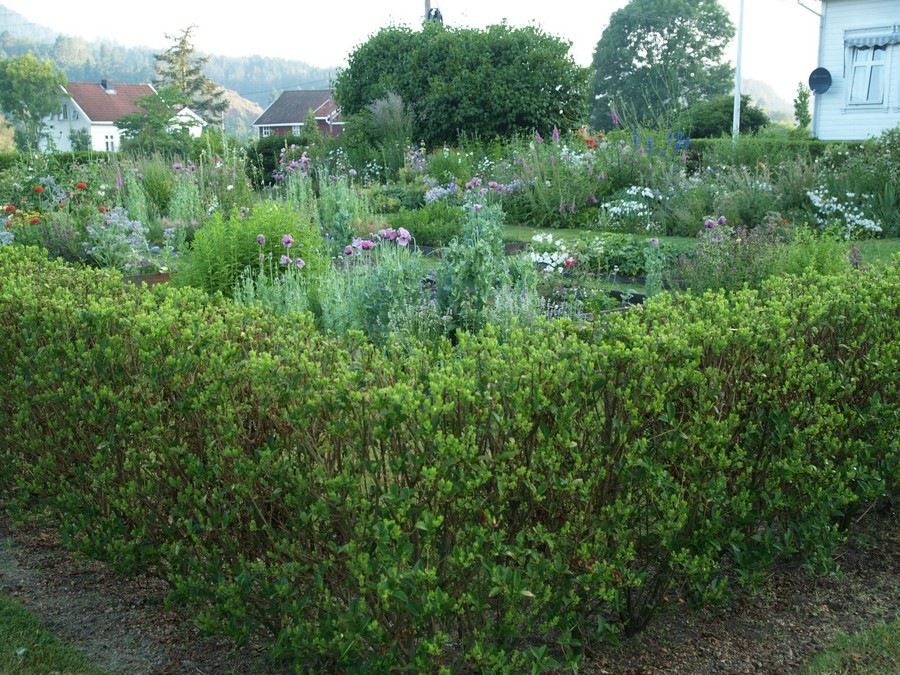 [2009-07-04 Resized (44)[2].jpg]