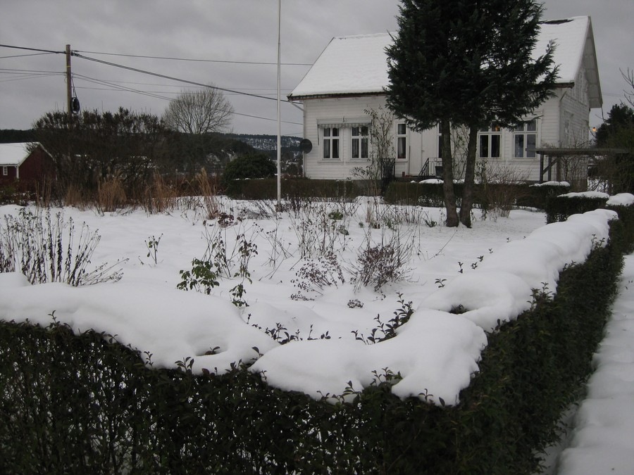 [20091225Hagen242.jpg]