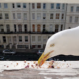 100_6067.JPG