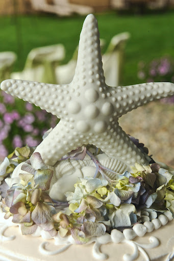 Starfish cake topper