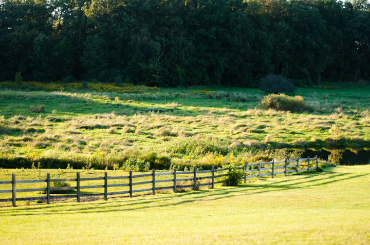 Misty Farm Ann Arbor, MI 