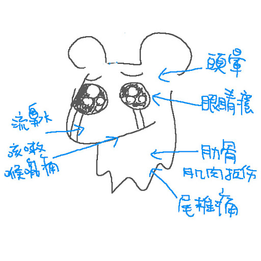 Untitled-1.jpg