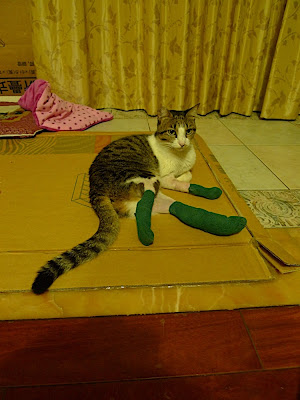 P1030200.JPG