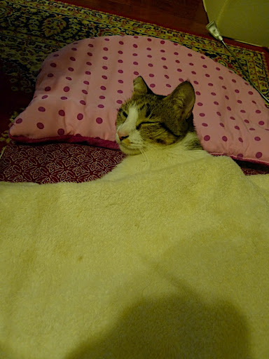 P1030218.JPG