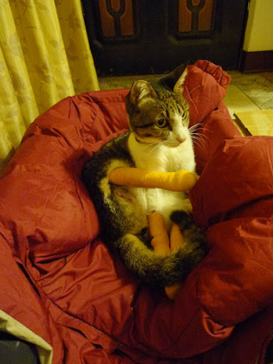 P1050291.JPG