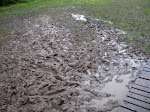 DSCN2078.JPG