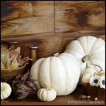 pumpkin-white-l