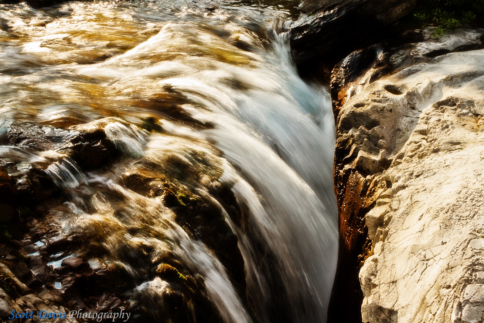 [SDP-20100804-340-Edit[3].jpg]