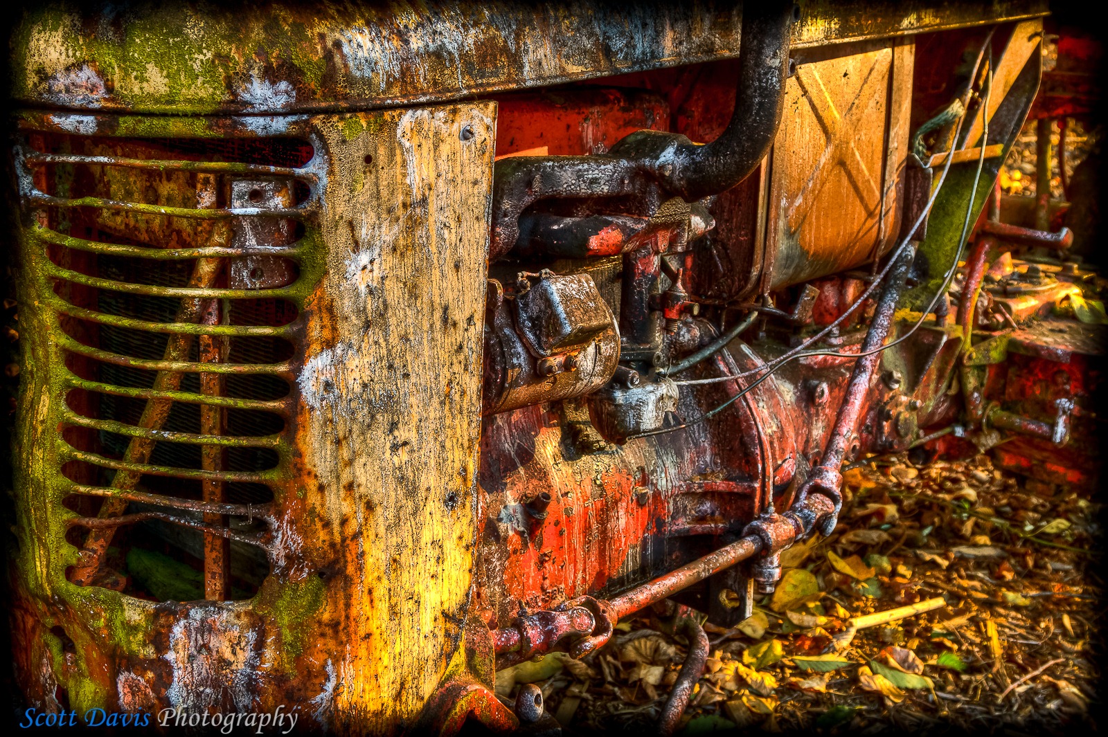[SDP-20101016-118HDR[3].jpg]
