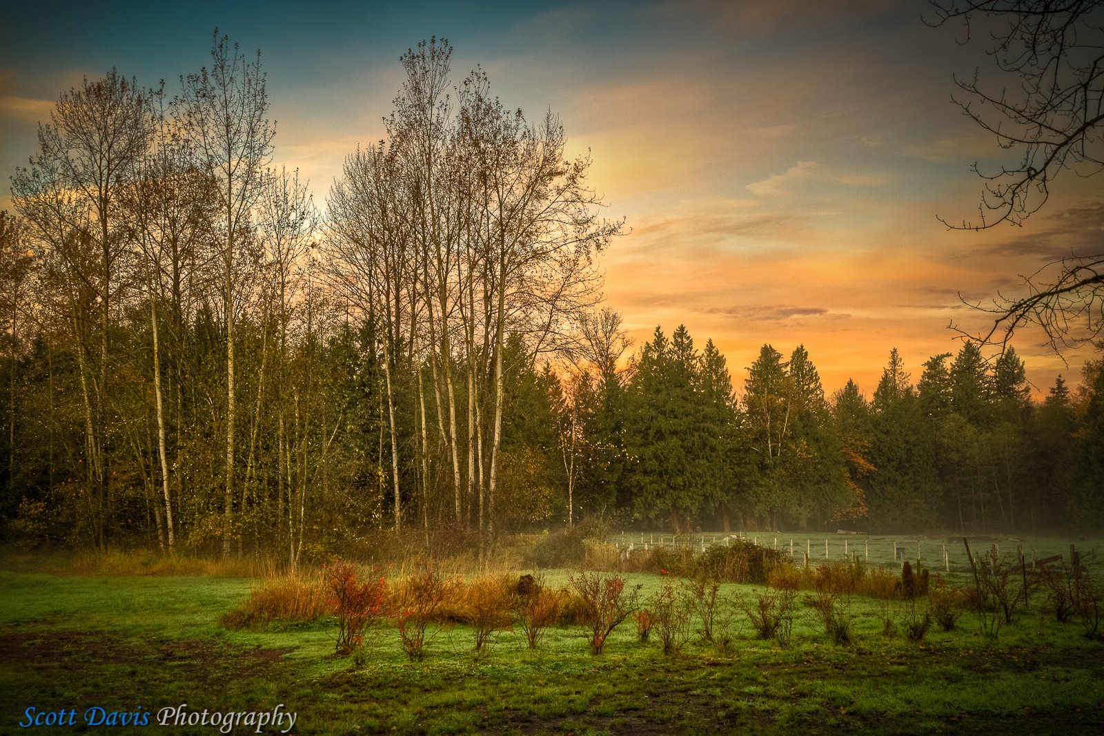 [SDP-20101103-HDR[15].jpg]