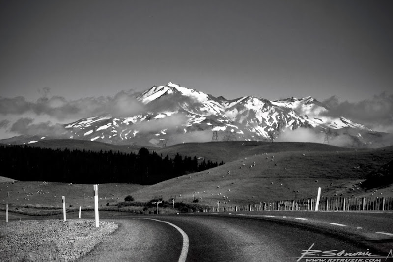 IMG_2065_BW.jpg