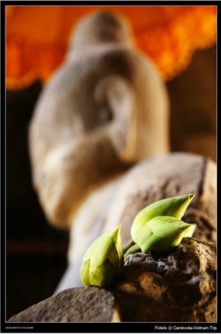 [angkor173.jpg]