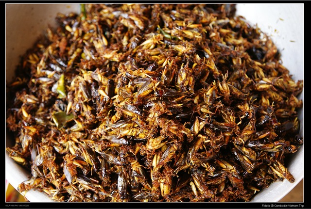 [cambodiavietnamtrip5073.jpg]