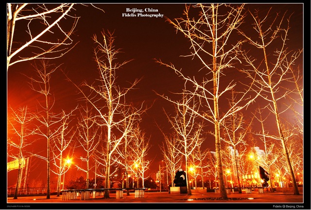 [bejing1333.jpg]