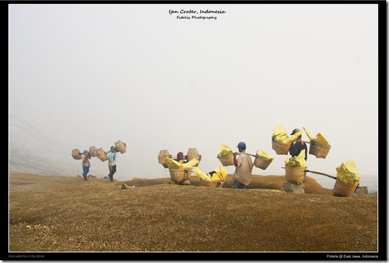 ijen19 ijen19