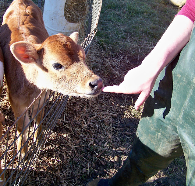 Did we mention cute? Did we mention cute?