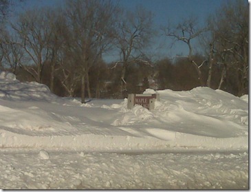 IMG00495 IMG00495