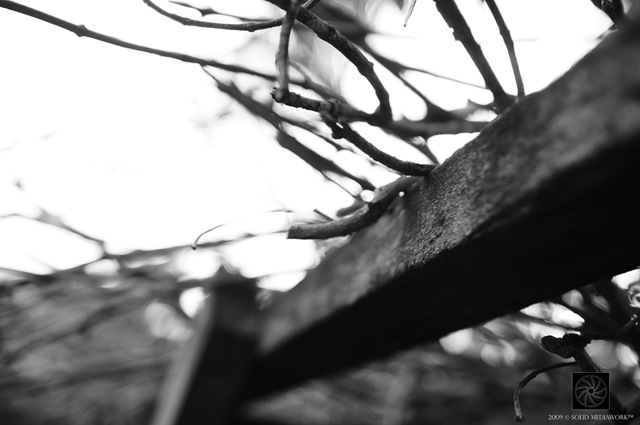 [B&W8[5].jpg]