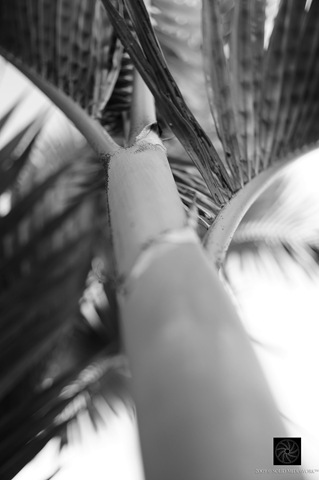 [B&W4[7].jpg]