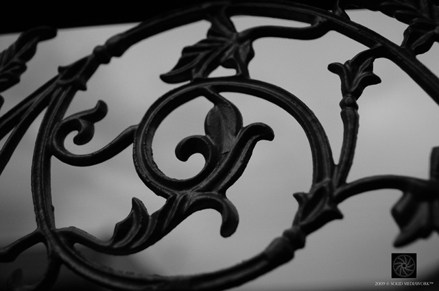 [B&W24[10].jpg]