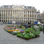 IMG_2316.JPG