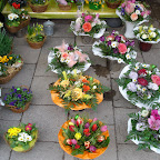 DSC01735.JPG