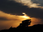ss10_03.jpg