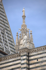 DSC_4356.jpg