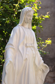 DSC_7475.JPG
