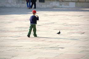 DSC_8151.JPG