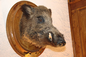 DSC_4165.JPG