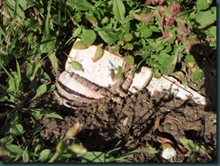 P5020217