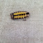 Virginia Ctenucha