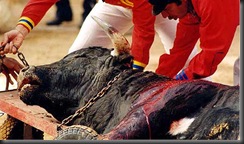 toroenarrastreIIweb