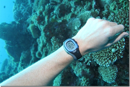 Garmin FR-60 while scuba diving