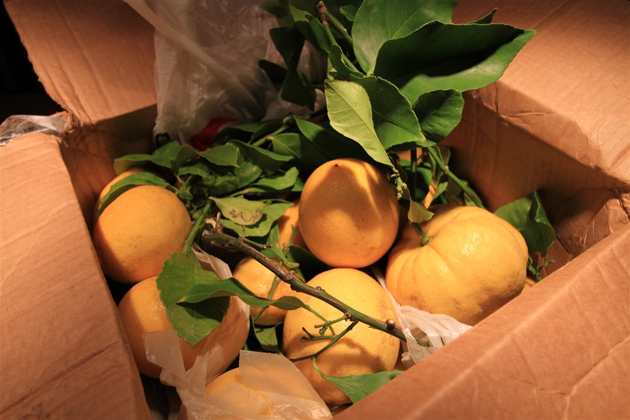 [IMG_2164[2].jpg]