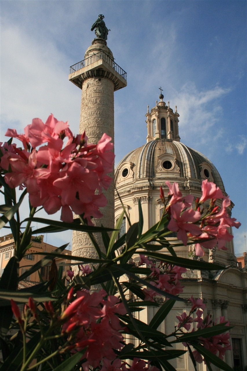 [IMG_81703.jpg]