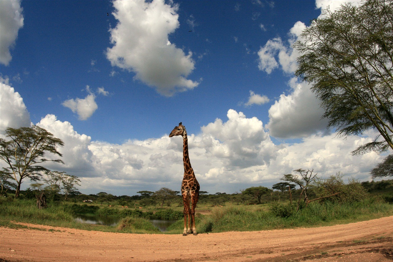 [IMG_9061A2.jpg]