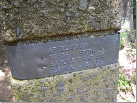 IMGP5878