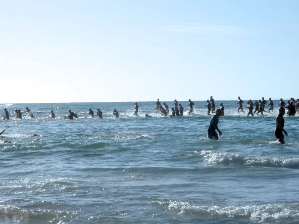 [Sandbarswim[2].jpg]