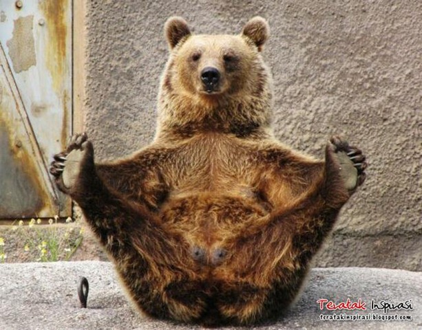 [Beruang Yoga[7].jpg]
