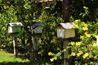 DSC_0856.JPG