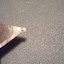 DSC05942.JPG