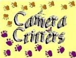 CameraCritters1