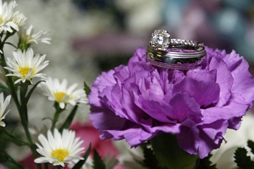 SONY DSC