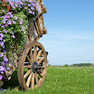 Waals Picardië