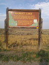 Market Lake ID