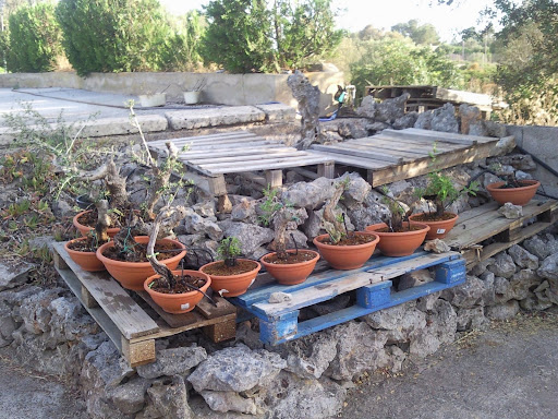 Mis Rincones Sol45