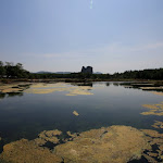 IMG_3550.JPG