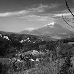 IMG_3311.jpg